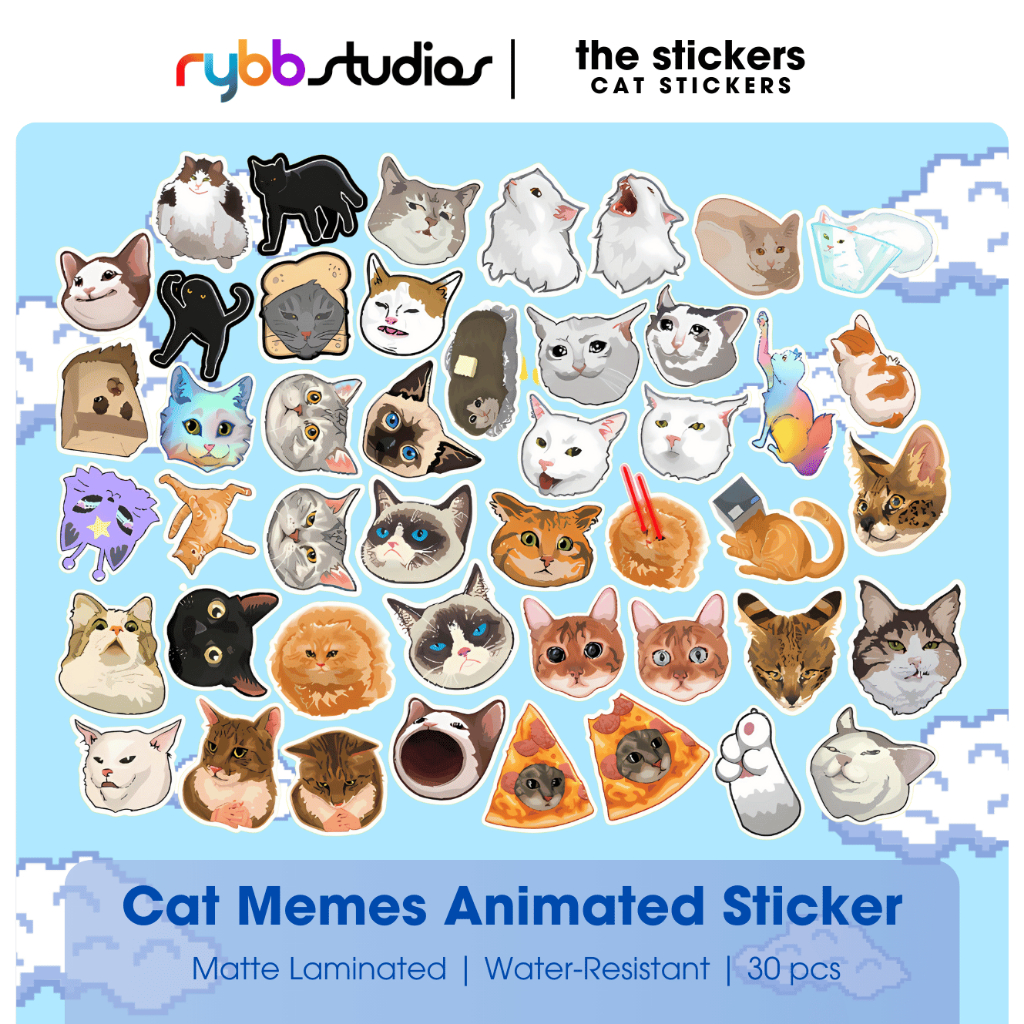 CUTE CAT MEMES 3046 PCS STICKERS MATTELAMINATED RYBB STUDIOS