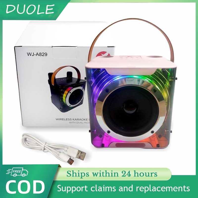 Portable Bluetooth Karaoke Speaker with 2 Wireless Mics | 3D Stereo ...