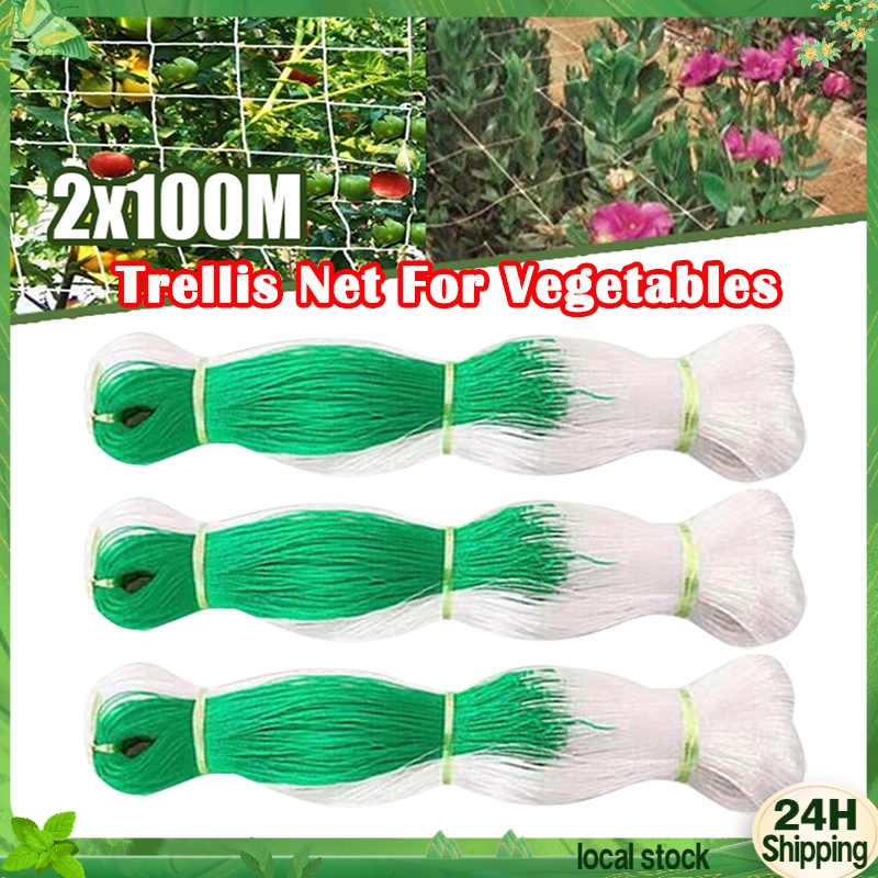 2Mx100M Garden Plant Climbing Net Trellis Net Support Nylon Mesh ...