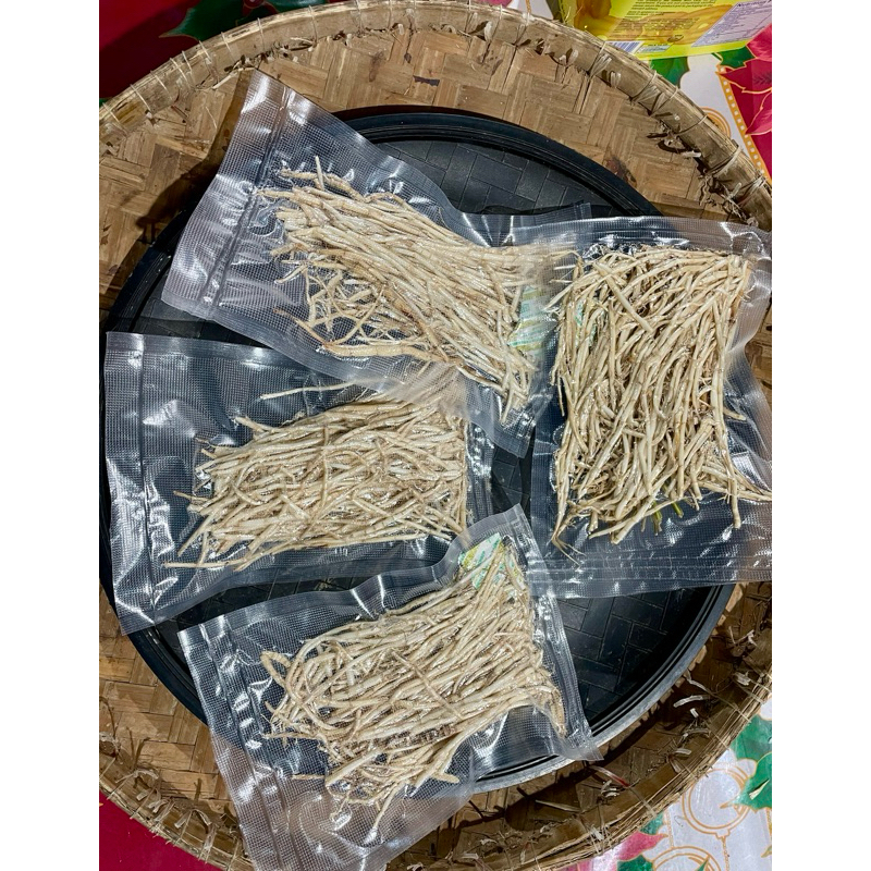 Fresh Cogon grass roots. Ugat ng cogon. | Shopee Philippines