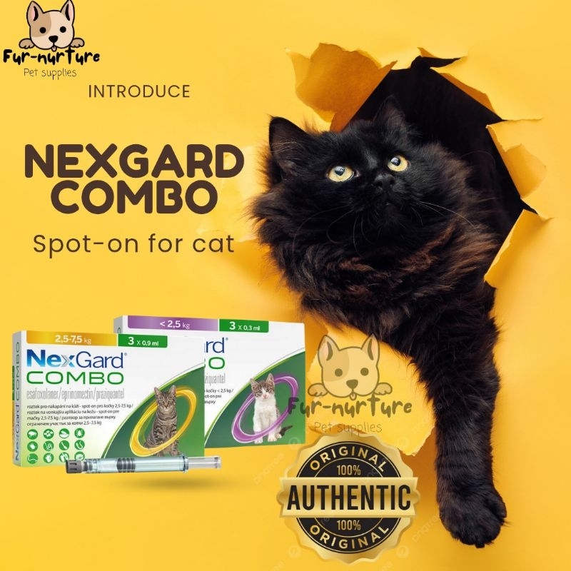 Nexgard Combo Spot On Solution for Cats 2.5 kg or 2.5 to 7.5kg Sold Per ...