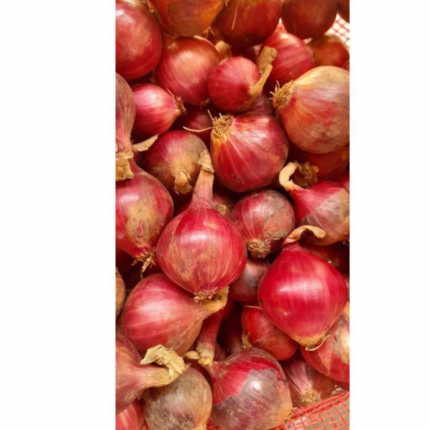 SIBUYAS NA PULA (LOCAL RED ONION) 500g and 1Kilo | Shopee Philippines