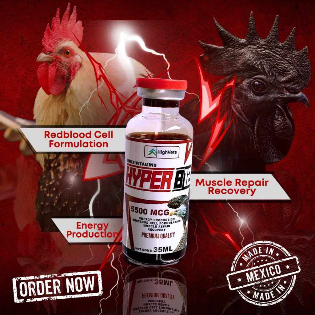 Hyper b12 5500mcg (Vitamin b12 + b15 w/ Mthltestos for rooster conditioning  and breeding, Poultry.)