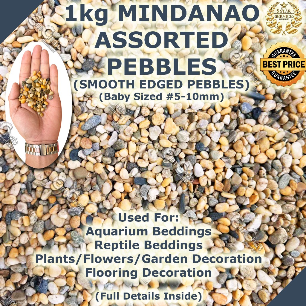 JTC 1kg BABY-SIZED MINDANAO Assorted Pebbles Aquarium Bedding Reptile ...