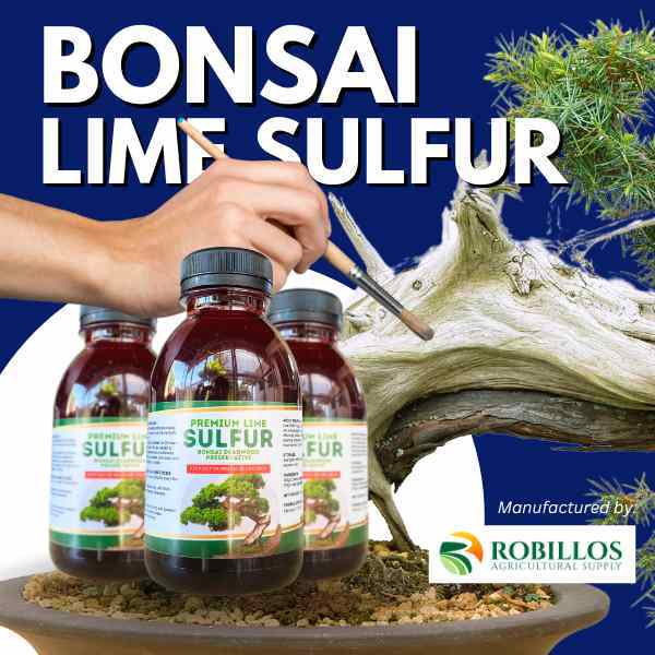Lime Sulfur for Bonsai Trees Highly Concentrated | Shopee Philippines