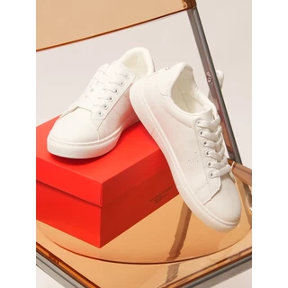 CLN Official Store | Shopee Philippines