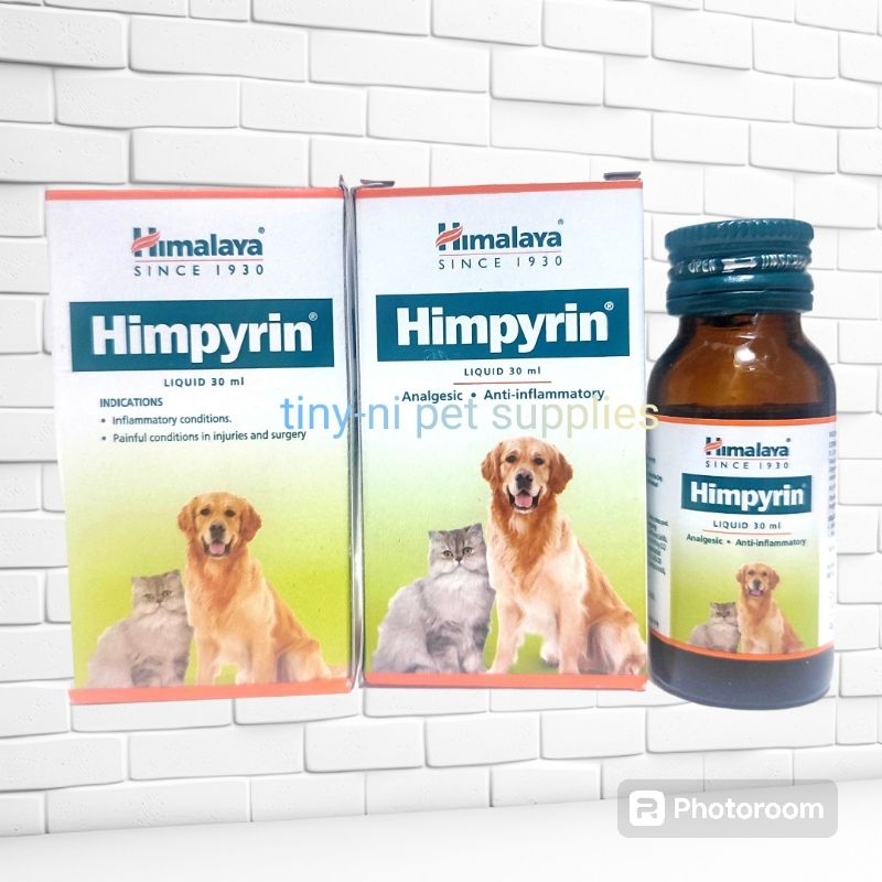 Paracetamol Giving Dogs Pain Medicine Fever And Mild To Moderate