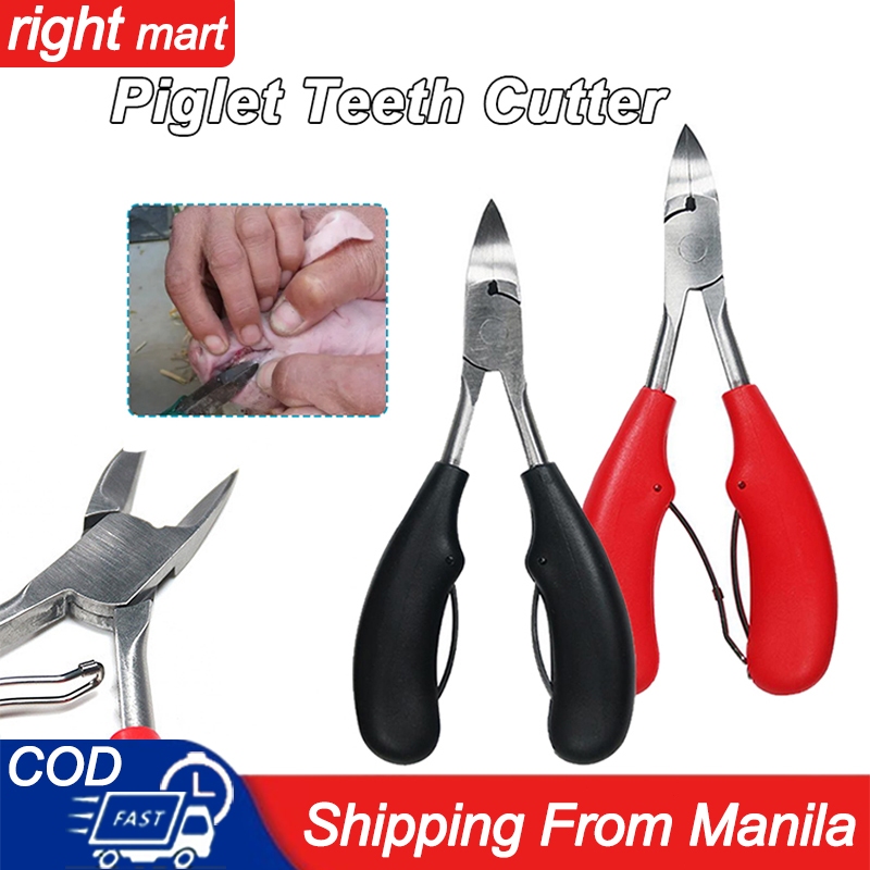 Pig Tooth Nipper Stainless Steel Teeth Cutter Piglet Broken Tooth ...
