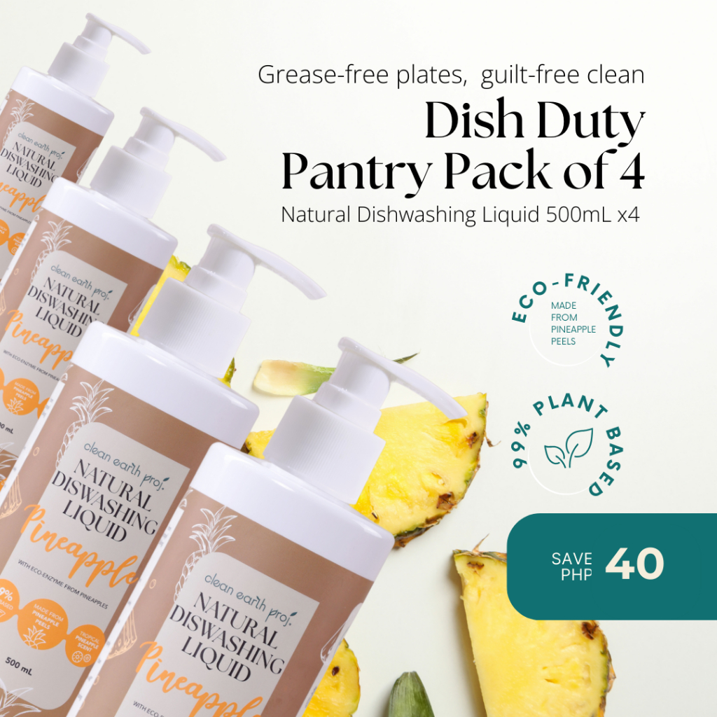 Clean Earth Project Natural Dishwashing Liquid 500mL Dish Duty Pantry ...