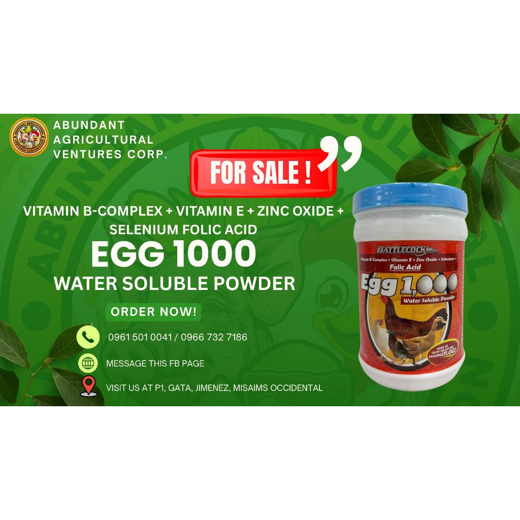 EGG 1000 – Water Soluble Powder Vitamin B-Complex + Vitamin E + Zinc ...