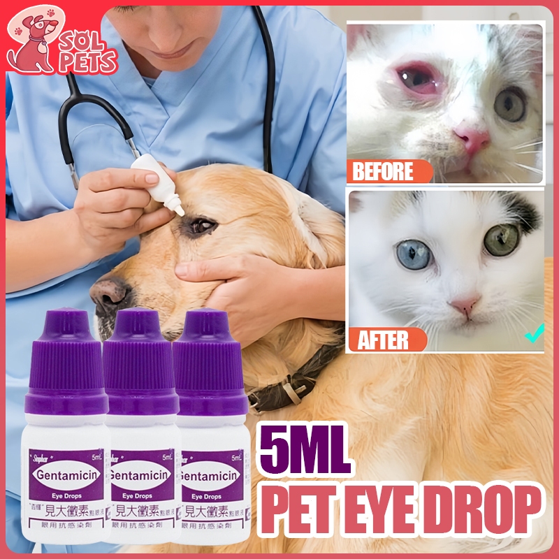 Pet Eye Drops Cat and Dog Eye Infection Removes Tear Stains and Dirt ...