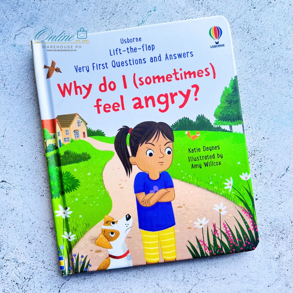 Usborne LifttheFlap Very First Q&As WHY DO I (SOMETIMES) FEEL ANGRY