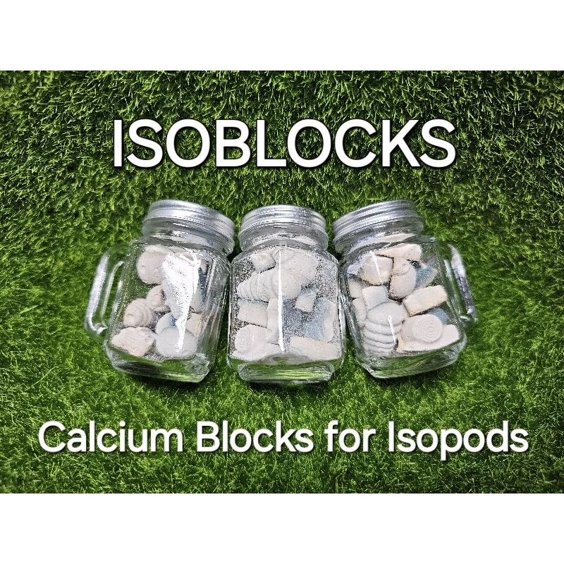 Isoblocks: Calcium Blocks for Isopods | Shopee Philippines