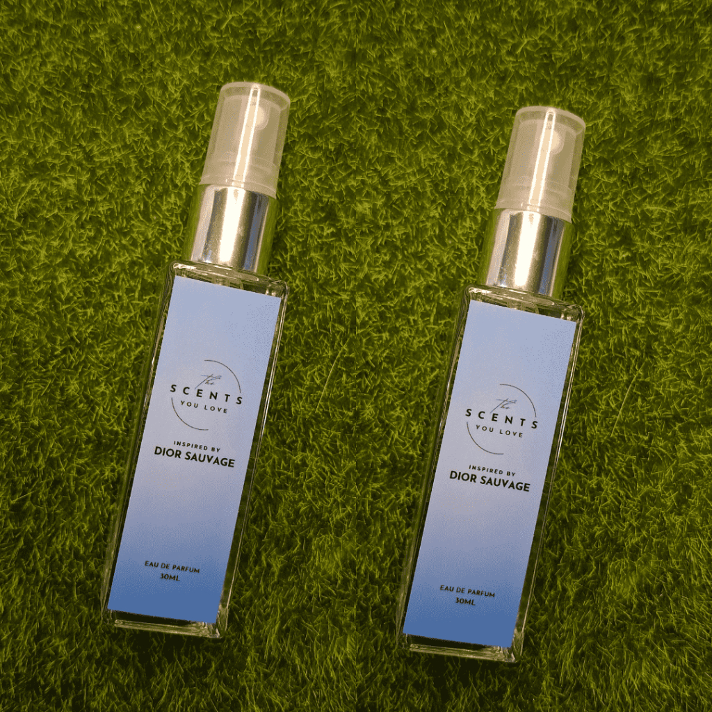 Fresh and Masculine, The Scents You Love long lasting perfume for men