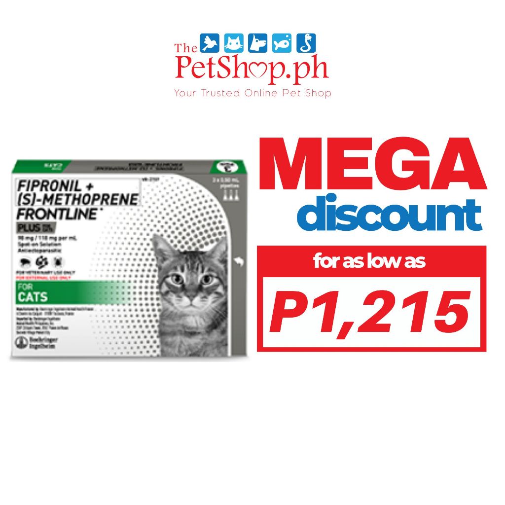 Frontline pregnant cat best sale