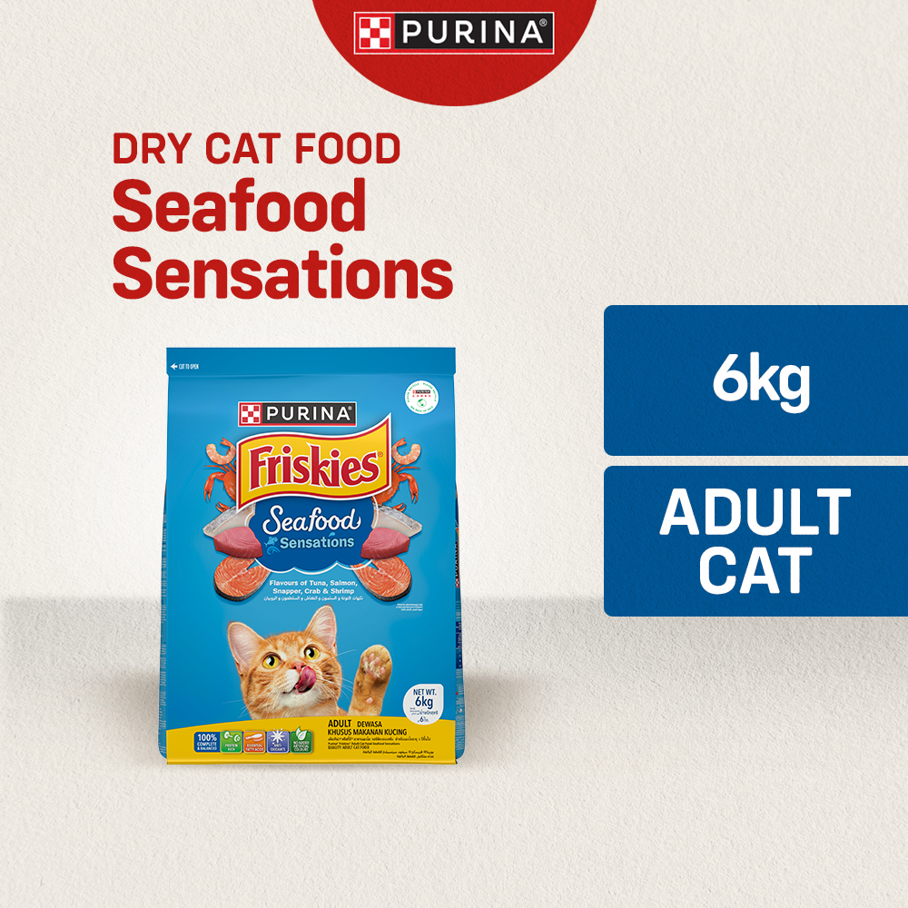 Purina 6kg best sale