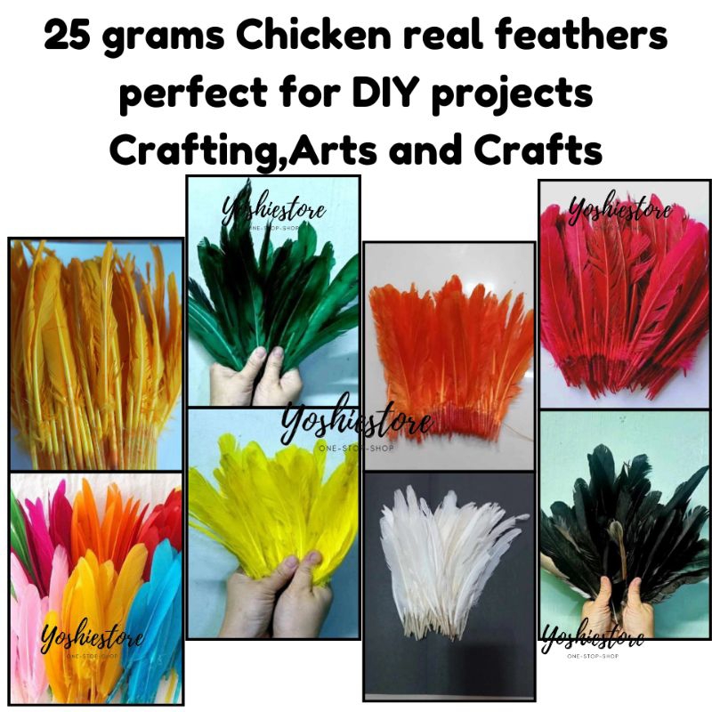 Shop feathers for Sale on Shopee Philippines