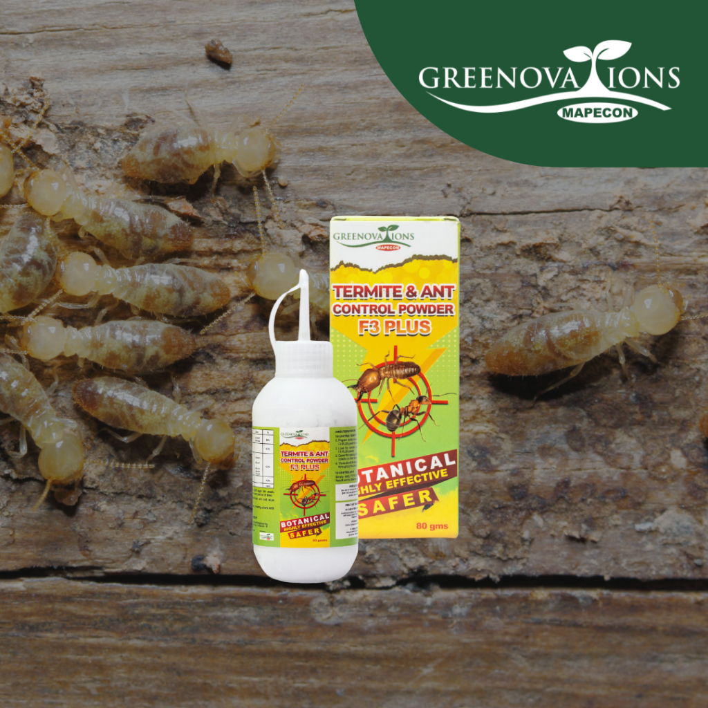 MAPECON GREENOVATION The Anti-Termite and Ant Solution Bundle | Shopee ...