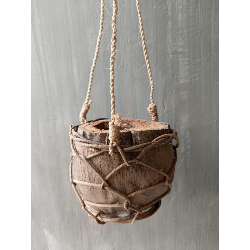 Native Hanging Plant Coconut | Shopee Philippines