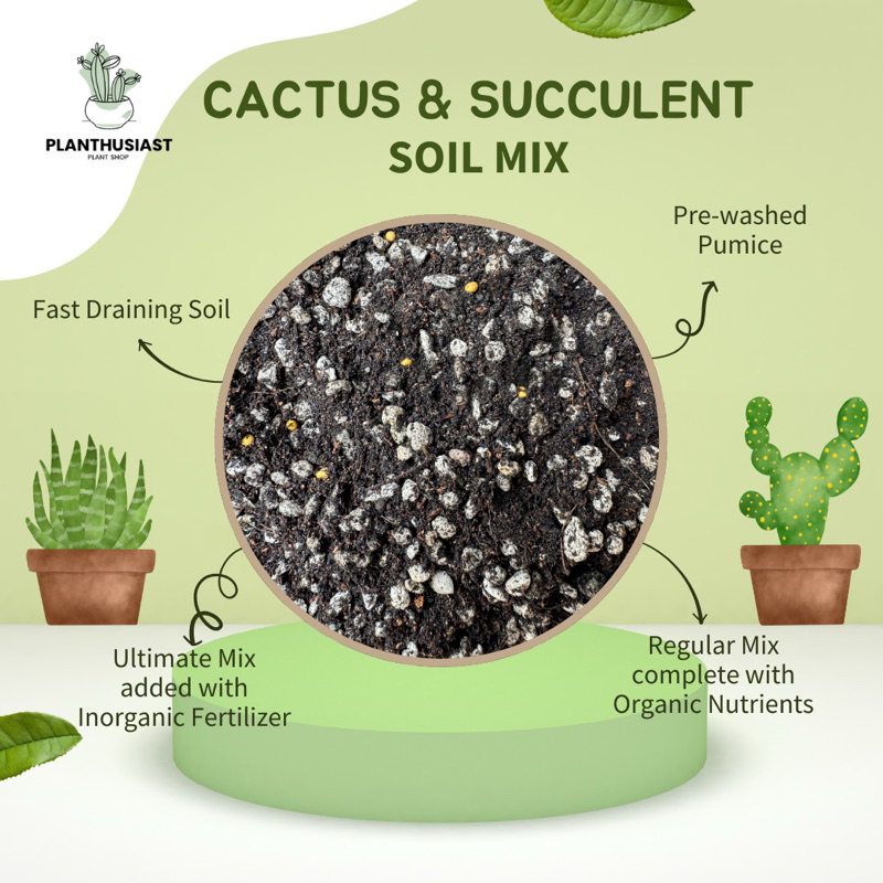 Cactus & Succulent Fast-Draining Soil Potting Mix 2 Liters 8 Liters ...