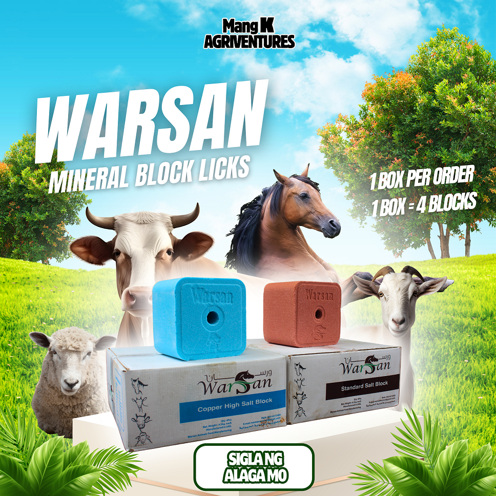 Authentic Warsan Blue and Warsan Red Mineral Block Licks [Per Box of 4 ...