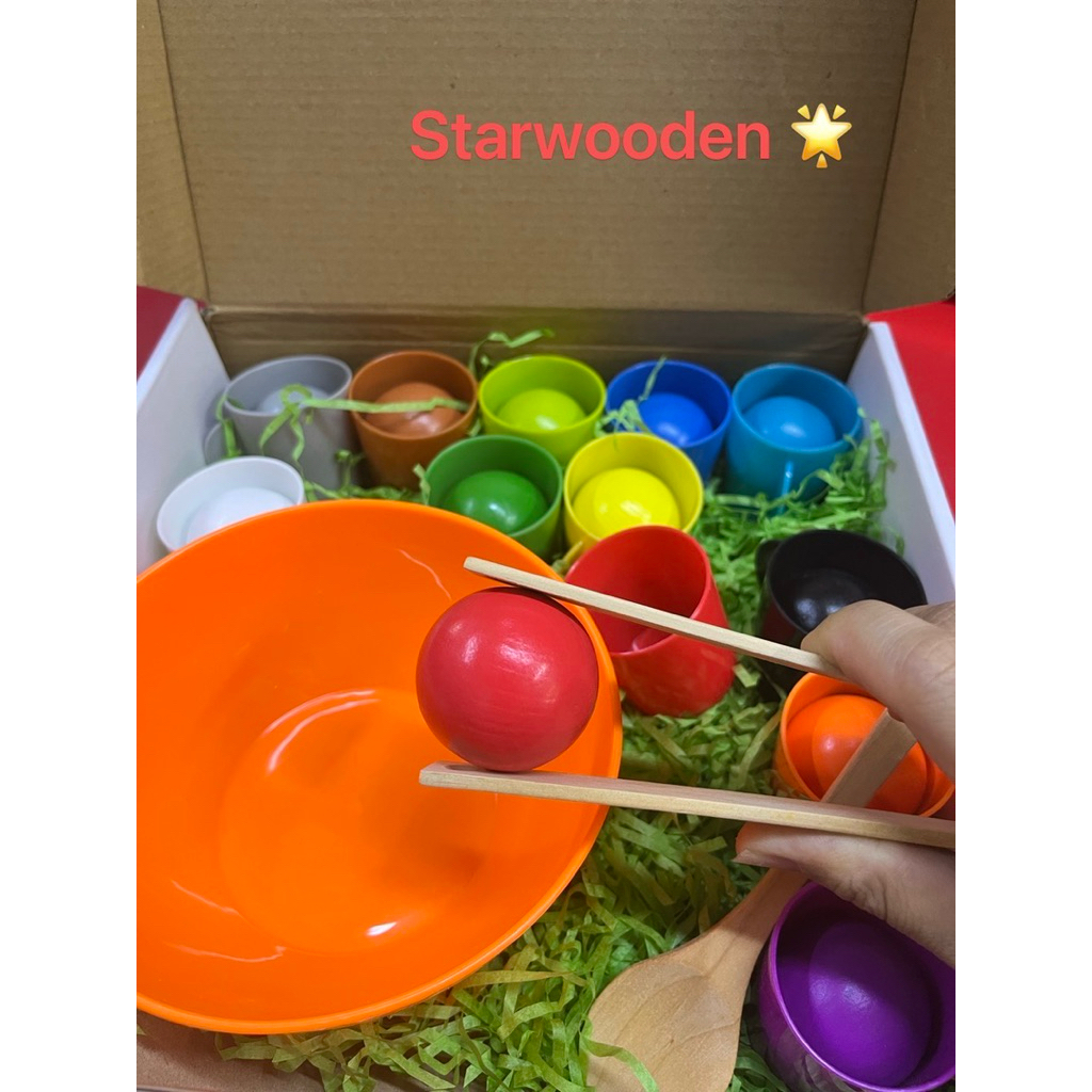 Montessori Color Sorting Cup Toys Color Matching Sensory Game Wooden ...