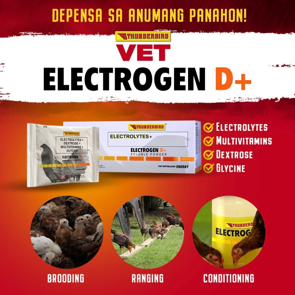 Thunderbird ELECTROGEN D+ Soluble Powder Box | Shopee Philippines