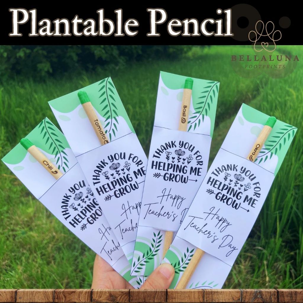 Plantable Pencil Herb & Vegetable Seeds EcoFriendly Organic Wood