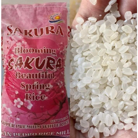 Shop rice japanese for Sale on Shopee Philippines