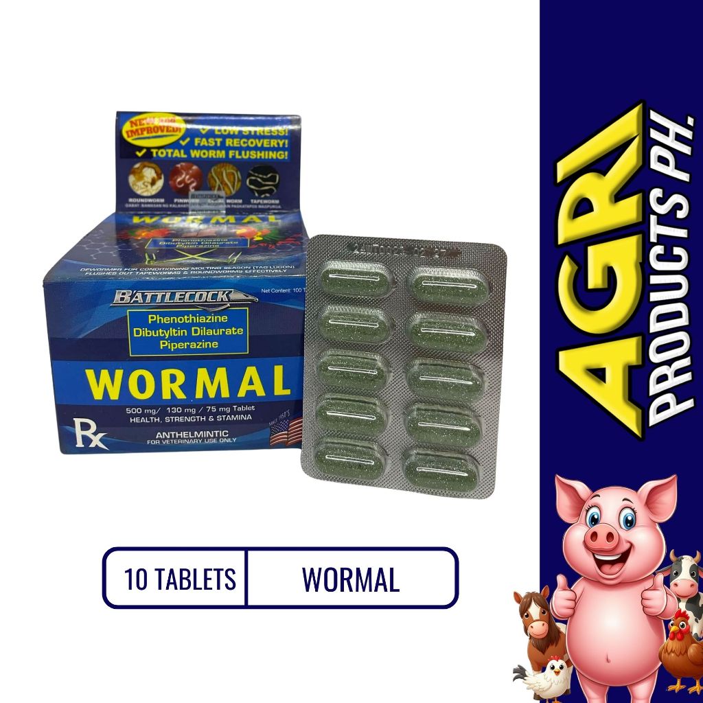 WORMAL TAB (10 TABLETS) | Shopee Philippines