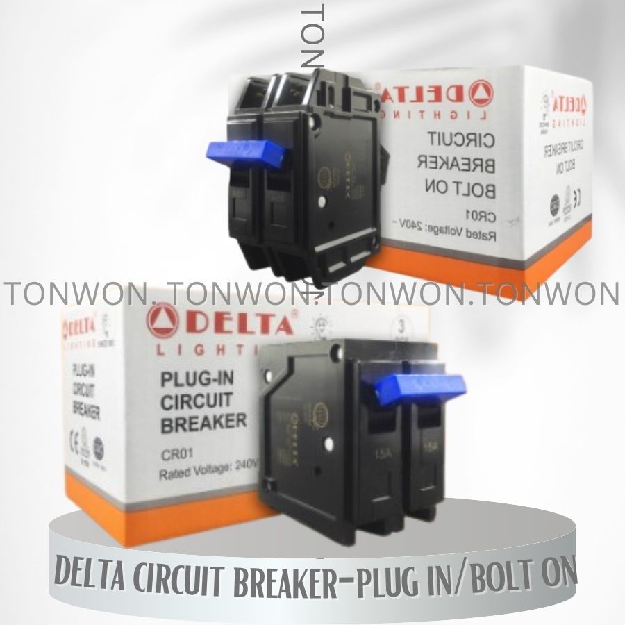 Delta Lighting Circuit Breaker Plug In Or Bolt On 2 Pole Shopee