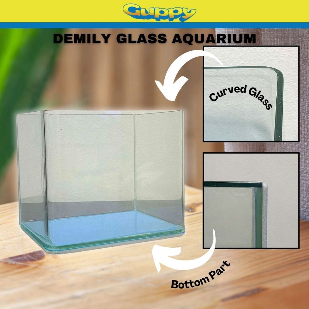 Demily Curved Glass Aquarium Clear Glass Aquarium R Angle | Shopee ...