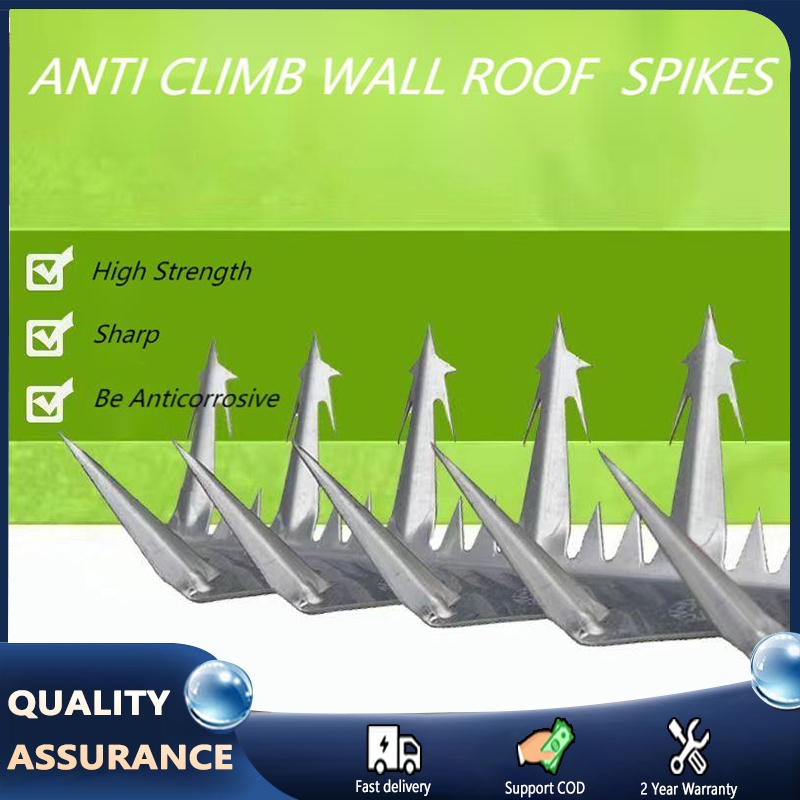 Anti climb Sharp Wall Spike on top of Wall and Fence | Security Spikes ...