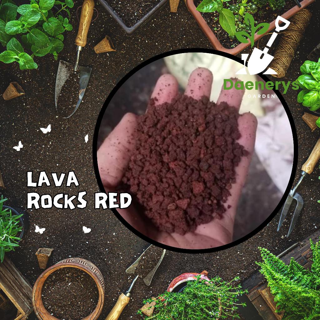 LAVA ROCKS RED 5kg per pack | Shopee Philippines