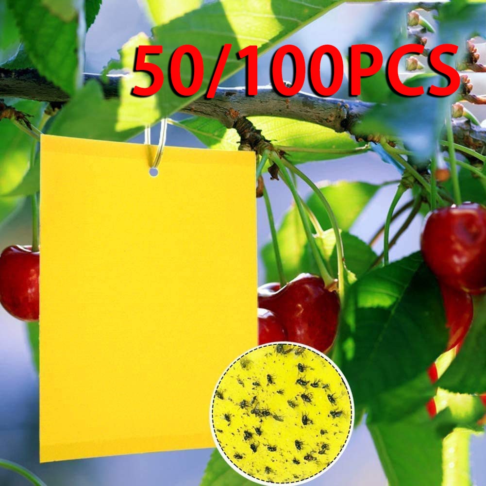 50PCS Strong Flies Traps Bugs Sticky Board Yellow Double-Sided Sticky ...
