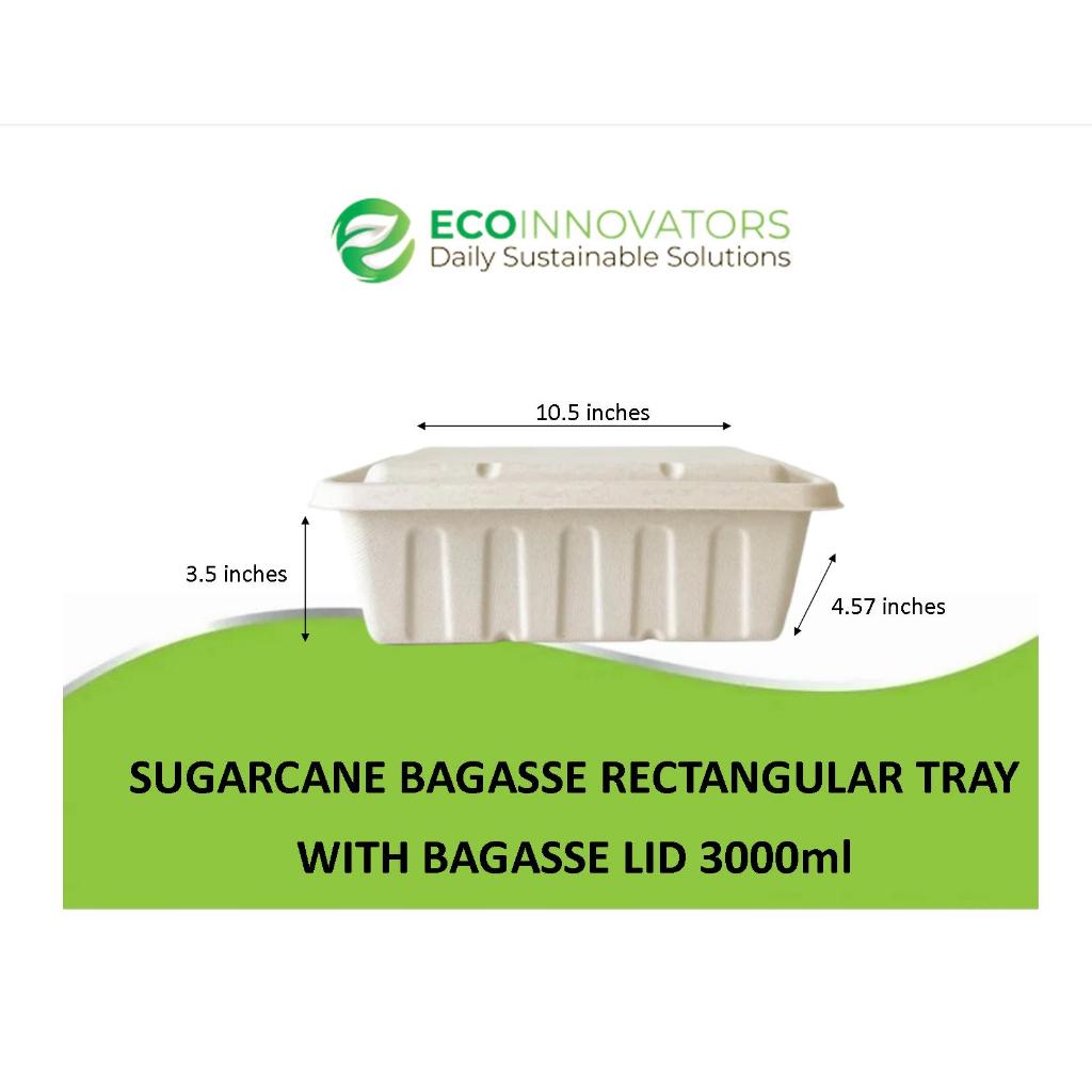 ECO Sugarcane Bagasse Rectangle Takeout Box with lid 10s | Shopee ...