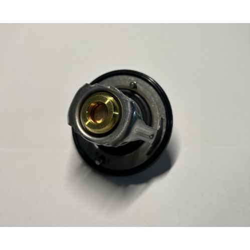 Foton tornado THERMOSTAT - FO5337966 | Shopee Philippines