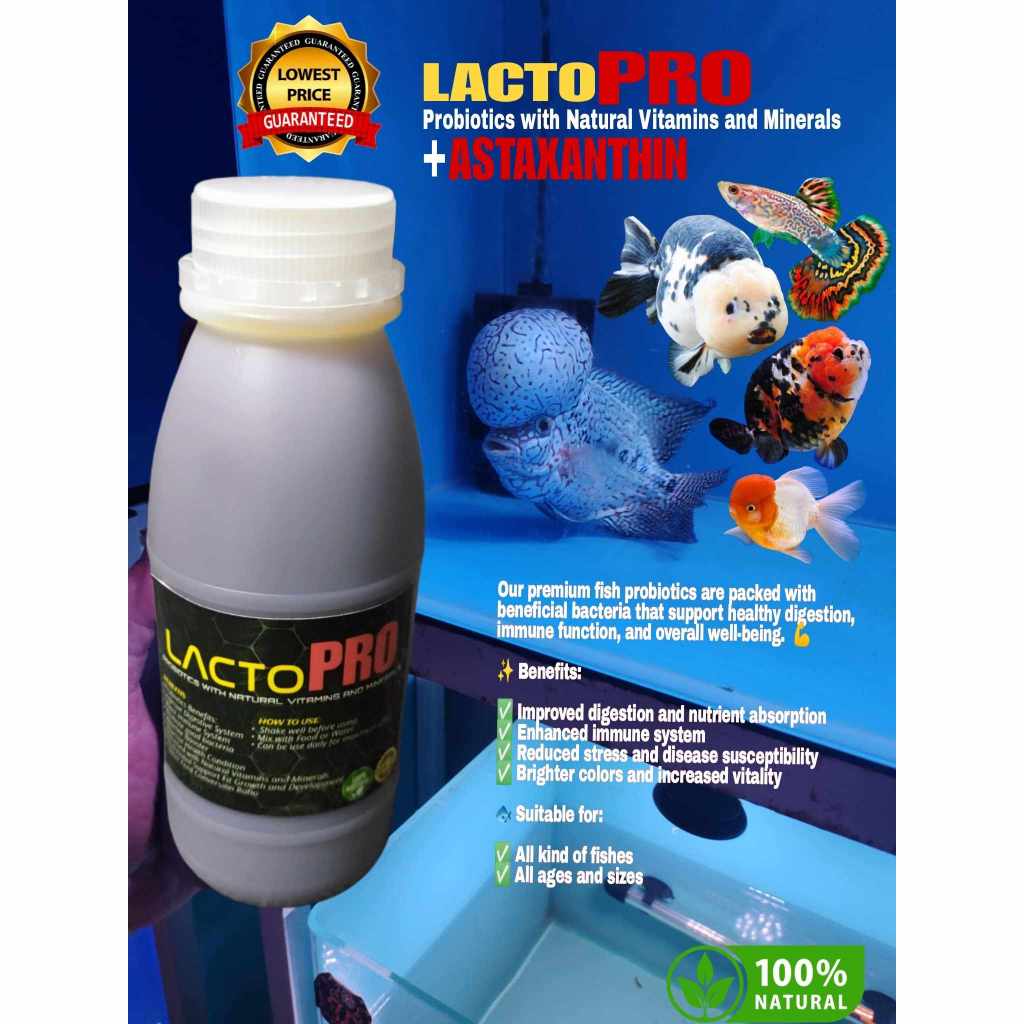 LactoPRO Probiotics with Natural Vitamins and Minerals + Astaxanthin ...