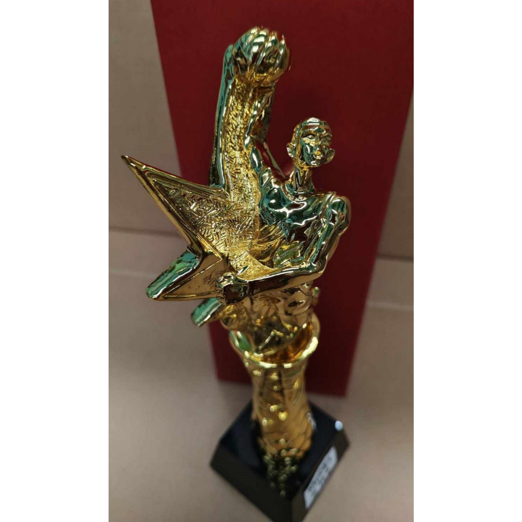 basketball trophy resin fiberglass no. 163 12 inches height | Shopee ...