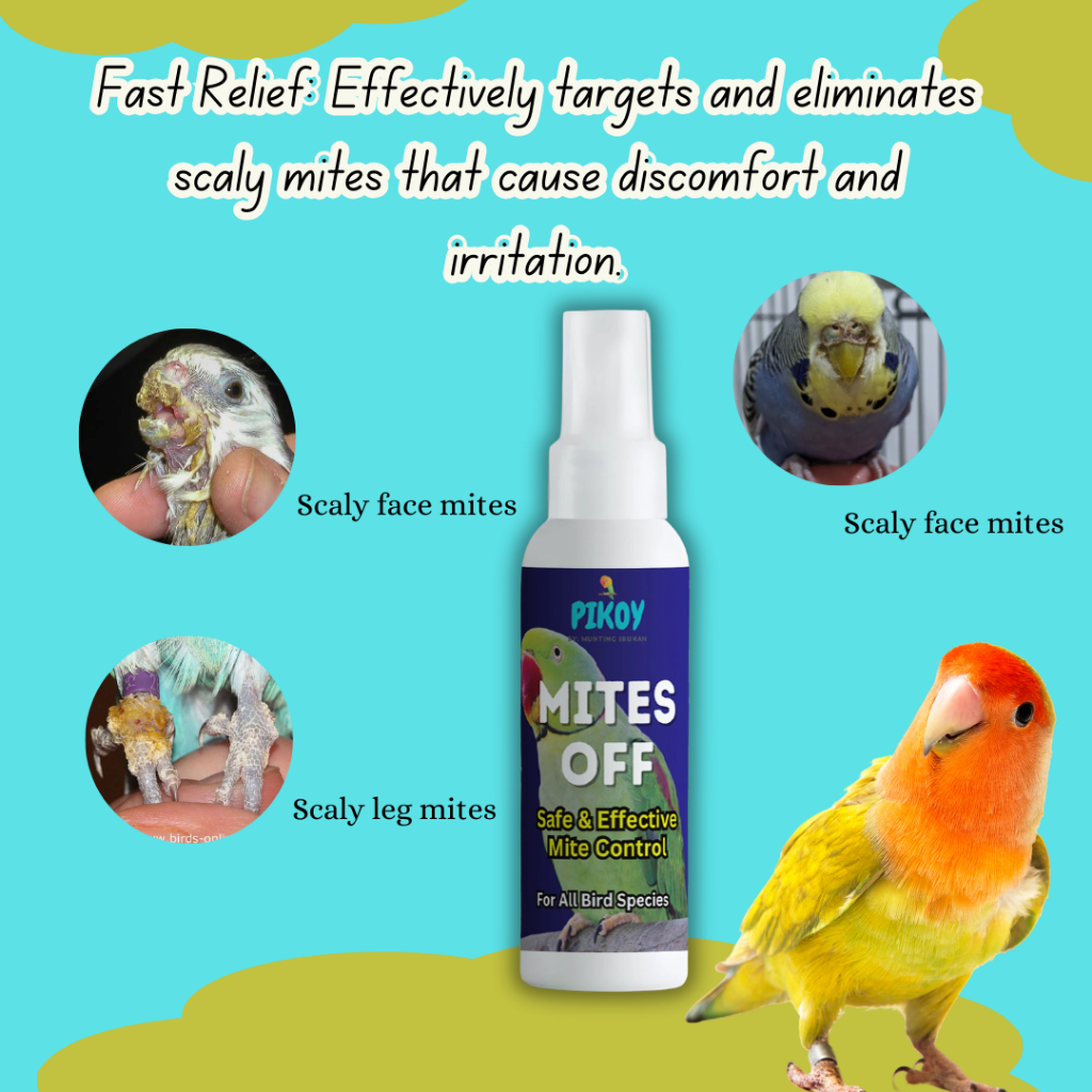 PIKOY Mites Off for Scaly Face and Leg Mites in Birds, Parrots, Iwas ...