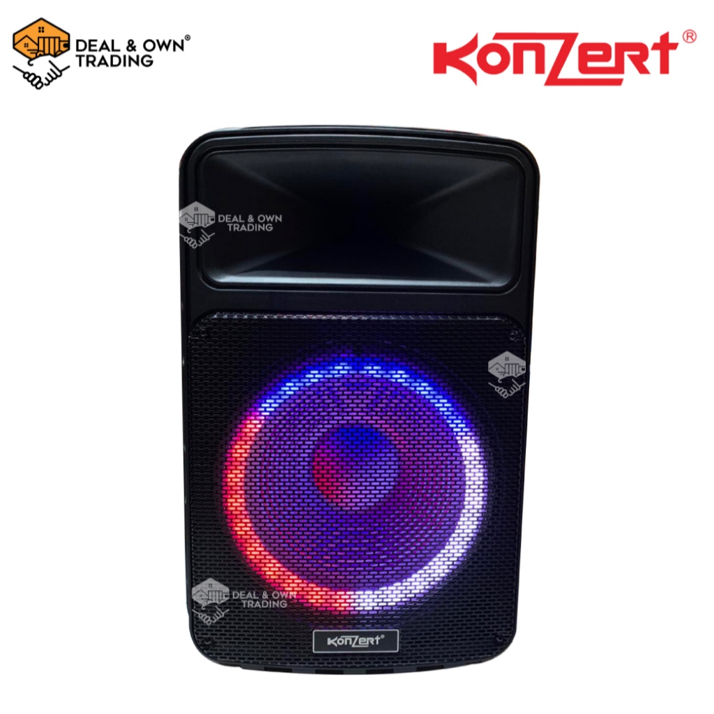 Wireless Speaker 12 Inch Trolley Speaker Trolley Speaker Bluetooth
