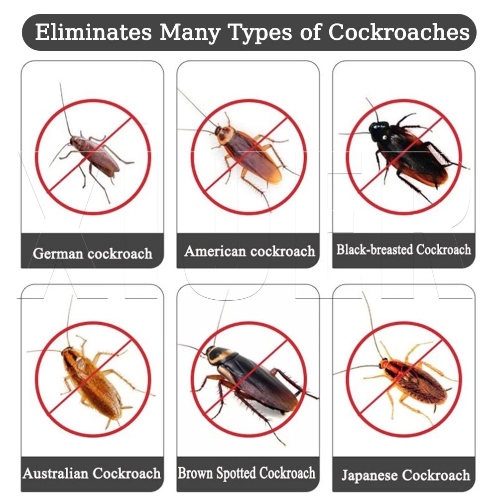 Cockroach Powder cockroach killing baitroach killer pesticide Killing ...