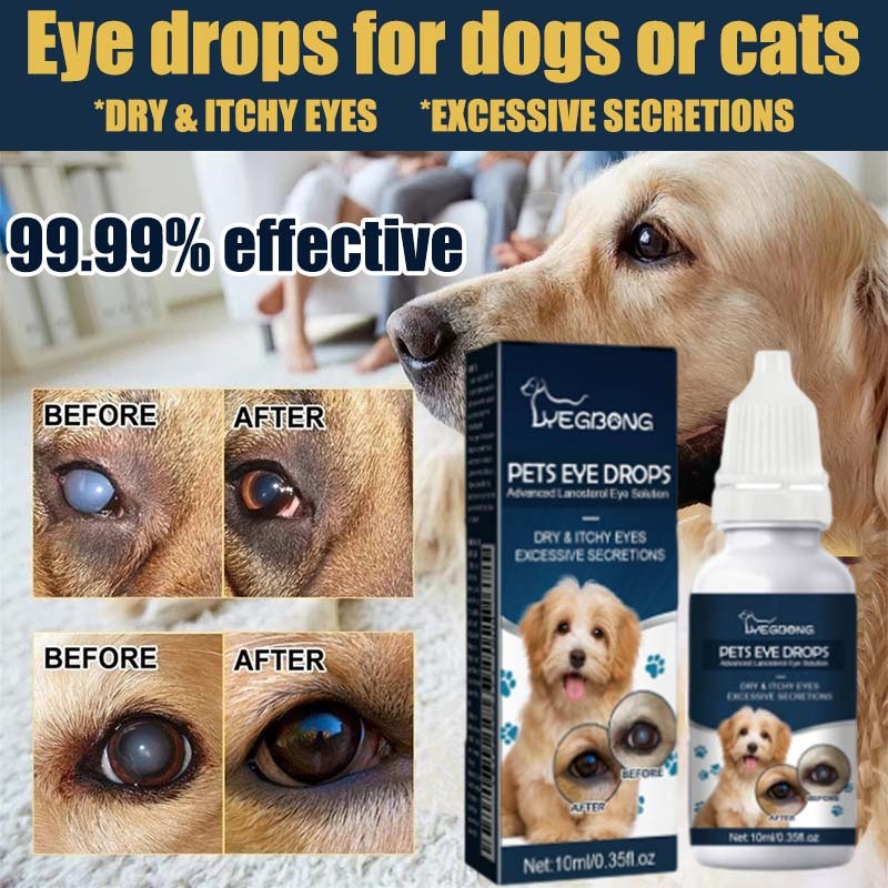 Gm5 Eye drops for dogs Gentamicin Eye Drop For Cat Pet Eye Drops Tear ...