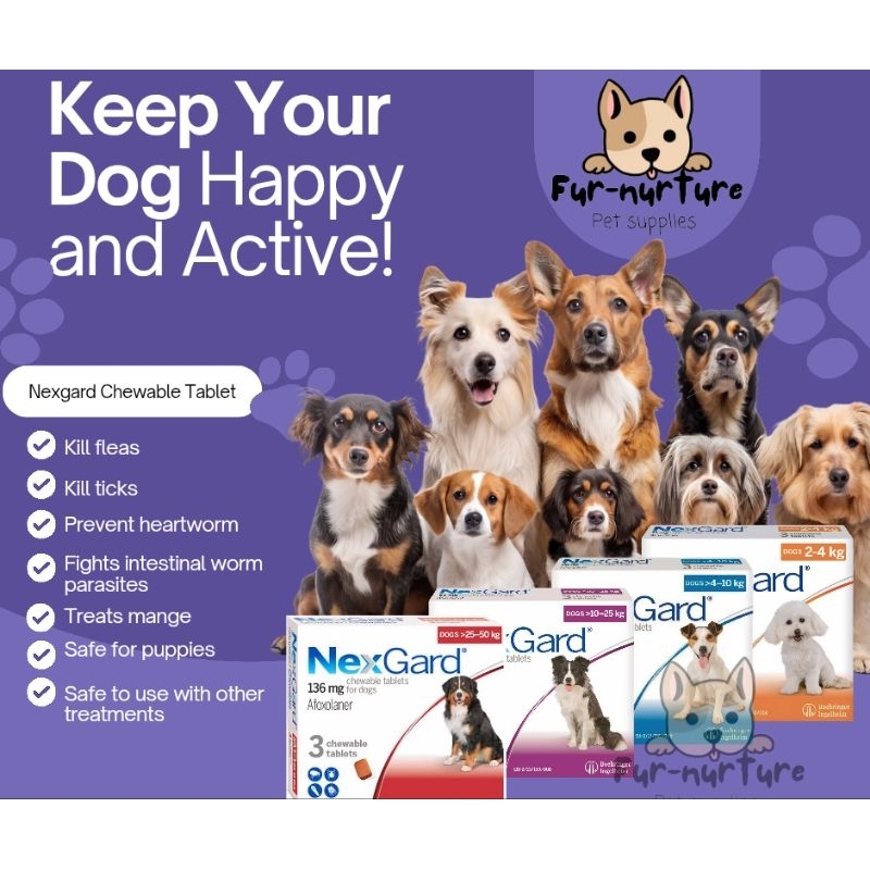 Nexgard Anti Tick and Flea Chewable for Dogs with FREE Sticker Sold per ...