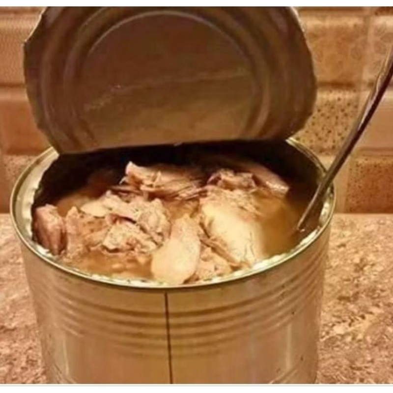 Box of Tuna Chunks/Flakes in Oil from Gensan (2kg x 6cans) | Shopee ...
