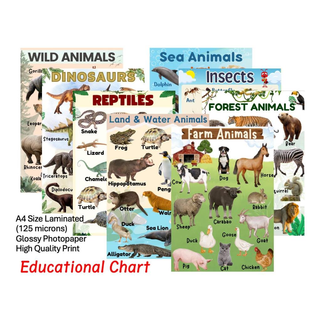 8pcs Animal Educational Chart - A4 Size - Laminated Wall Chart for Kids ...