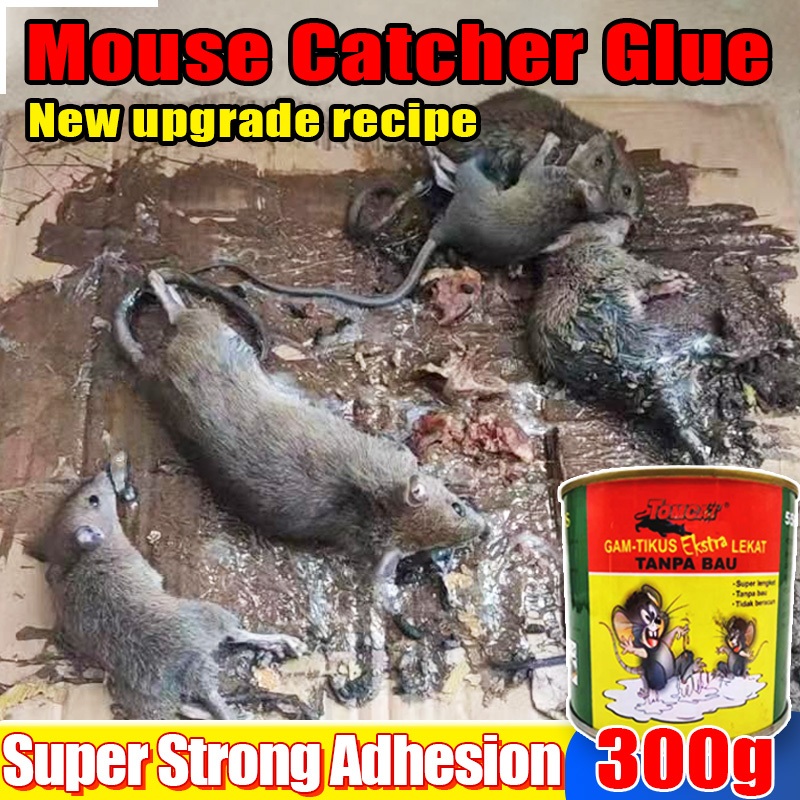 Super Sticky Rat Killer Glue 300G Sticky Mice Glue For Large Rats Mouse ...