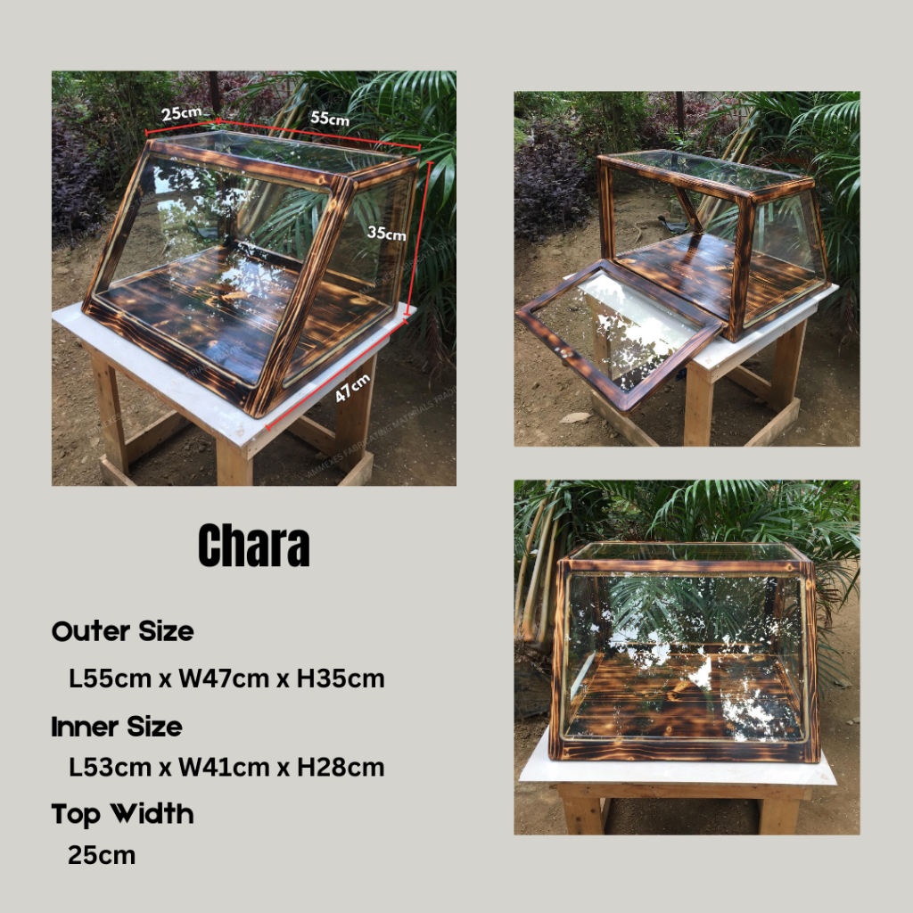 Chara: No shelves Slanted Pastry Bread Display | Shopee Philippines