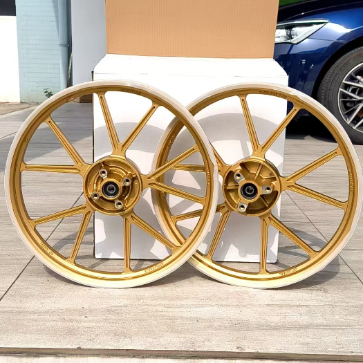 10 Spokes MAGS for Raider 150 fi/carb Front Disc 4 holes Rear Disc 3 ...