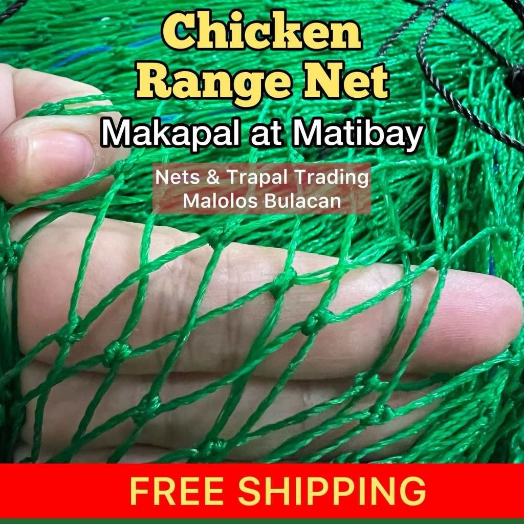 Net for Chicken Range Net Lambat Outdoor Bird Net Poultry Net fishing ...